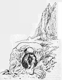 PR 198 – Illustration 1 Zeichner: Johnny Bruck © Heinrich Bauer Verlag KG