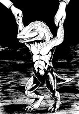 © Heinrich Bauer Verlag KG