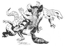 Gucky und ein Frogh PR 52 – Illustration 3 Zeichner: Johnny Bruck © Heinrich Bauer Verlag KG