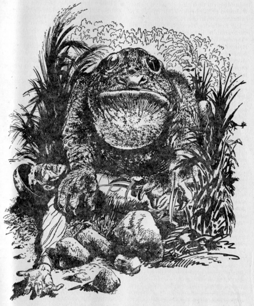 Datei:PR0385Illu 2.gif