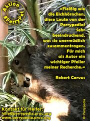 PerryPet Squirrel final.jpg