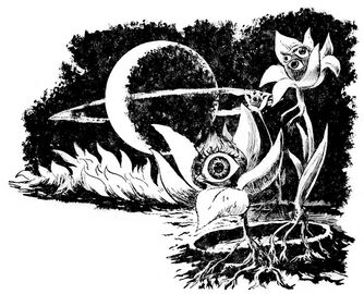 PR 33 Halbschläfer Motiv auf der Vorspannseite Zeichner: Johnny Bruck © Heinrich Bauer Verlag KG, Hamburg