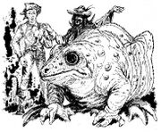 © Heinrich Bauer Verlag KG