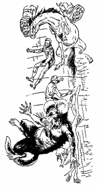 Datei:PR0471Illu 3.gif