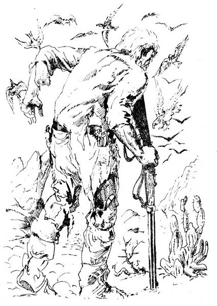 Datei:A118Illu 1.jpg