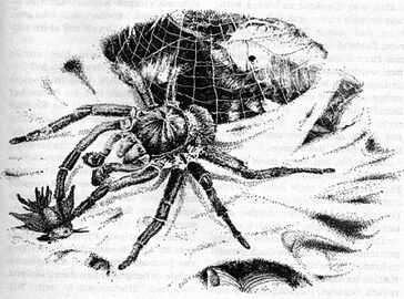 Heft PR 1600: Impressionen Zeichner: Johnny Bruck © Heinrich Bauer Verlag KG, Hamburg