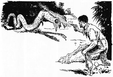 PR 23 John Marshall Zeichner: Johnny Bruck © Heinrich Bauer Verlag KG, Hamburg