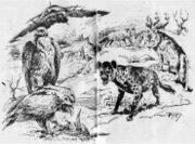 PR 1381 – Illustration  © Heinrich Bauer Verlag KG