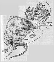 PR 273 – Illustration 4 © Heinrich Bauer Verlag KG