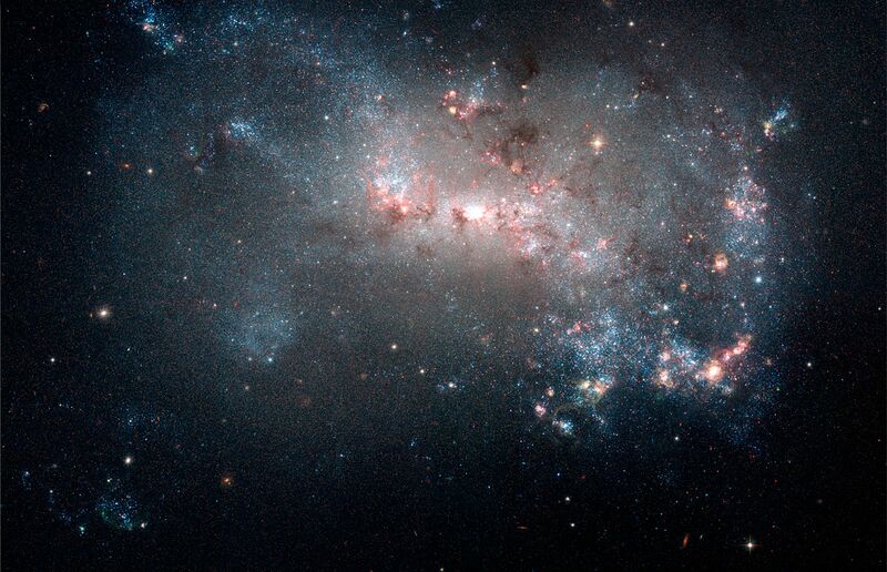Datei:NGC4449.jpg