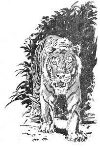 PR 56 – Illustration 2 Zeichner: Johnny Bruck © Heinrich Bauer Verlag KG