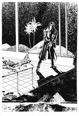 Symbolisches Selbstporträt © Heinrich Bauer Verlag KG