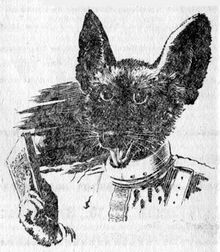 PR 244 – Illustration 5 Zeichner: Johnny Bruck © Heinrich Bauer Verlag KG