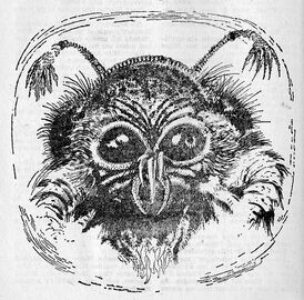 PR 343 Zeichner: Johnny Bruck © Heinrich Bauer Verlag KG, Hamburg