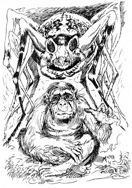 Datei:A103Illu 1.jpg