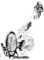 PR 144 – Illustration 2 © Heinrich Bauer Verlag KG