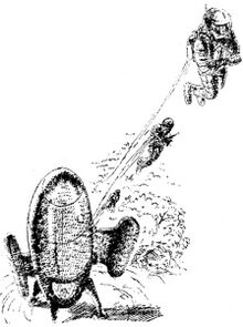 PR 144 – Illustration 2 Zeichner: Johnny Bruck © Heinrich Bauer Verlag KG