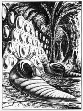 © Heinrich Bauer Verlag KG