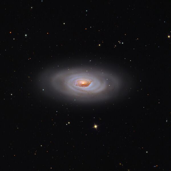 Datei:NGC4826.jpg
