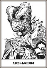 Schadir © Heinrich Bauer Verlag KG