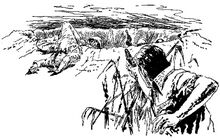 PR 141 – Illustration 5 Zeichner: Johnny Bruck © Heinrich Bauer Verlag KG