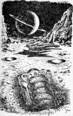 Tunnelfräse © Heinrich Bauer Verlag KG