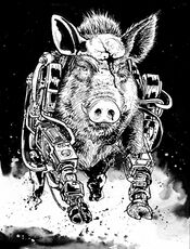 © Heinrich Bauer Verlag KG