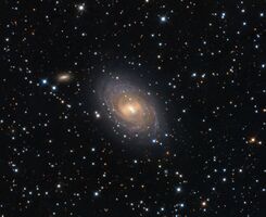 NGC1169.jpg