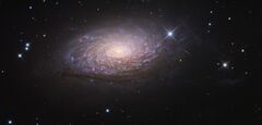 NGC5055.jpg