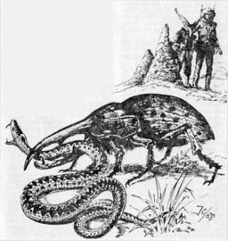 Heft PR 1389: Impressionen Zeichner: Johnny Bruck © Heinrich Bauer Verlag KG, Hamburg