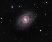 NGC3351.jpg